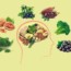 Les 5 meilleurs nootropiques naturels pour booster votre cerveau