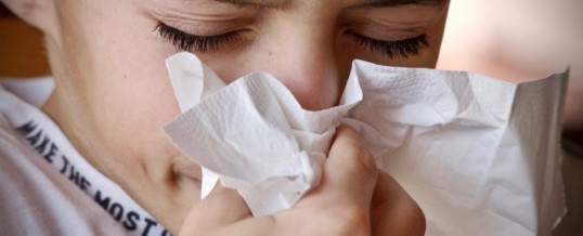 Naturopathie et Allergies: Prévention et Réduction des Symptômes Naturellement